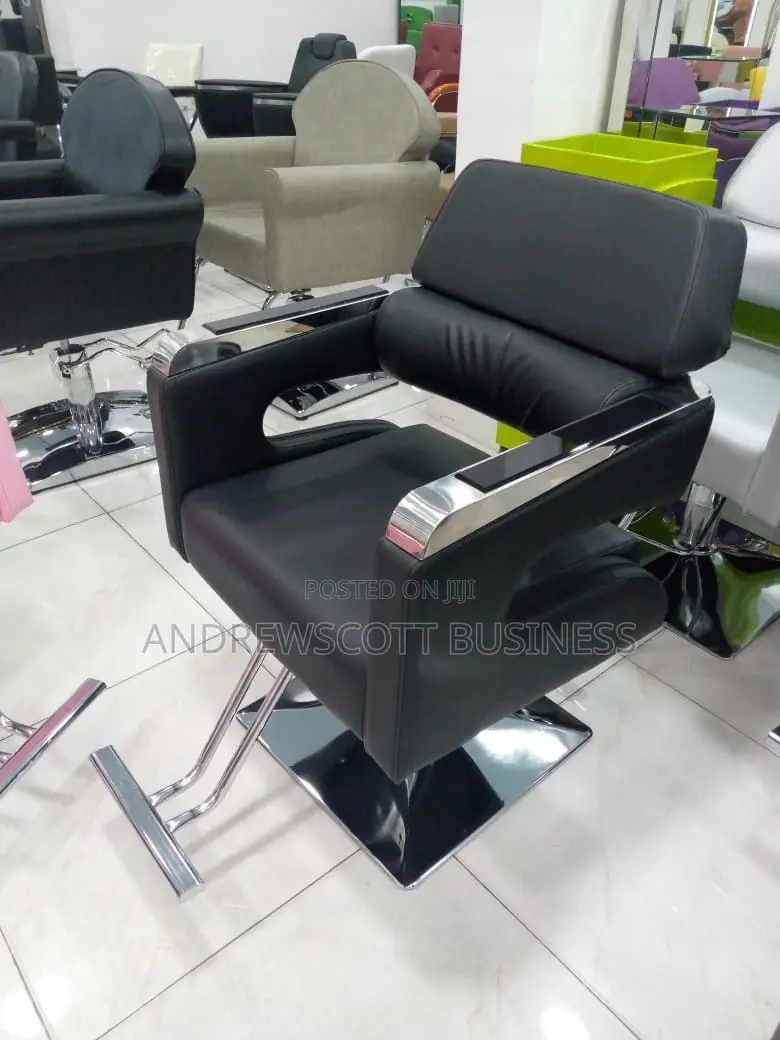 Salon Chair