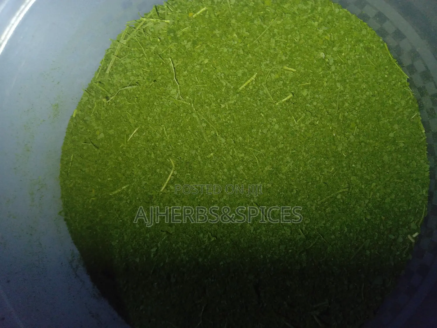 Undiluted Dried Moringa Powder