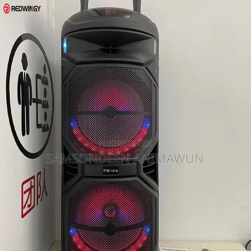 Dual 15inch Active Speaker With 2 Mic