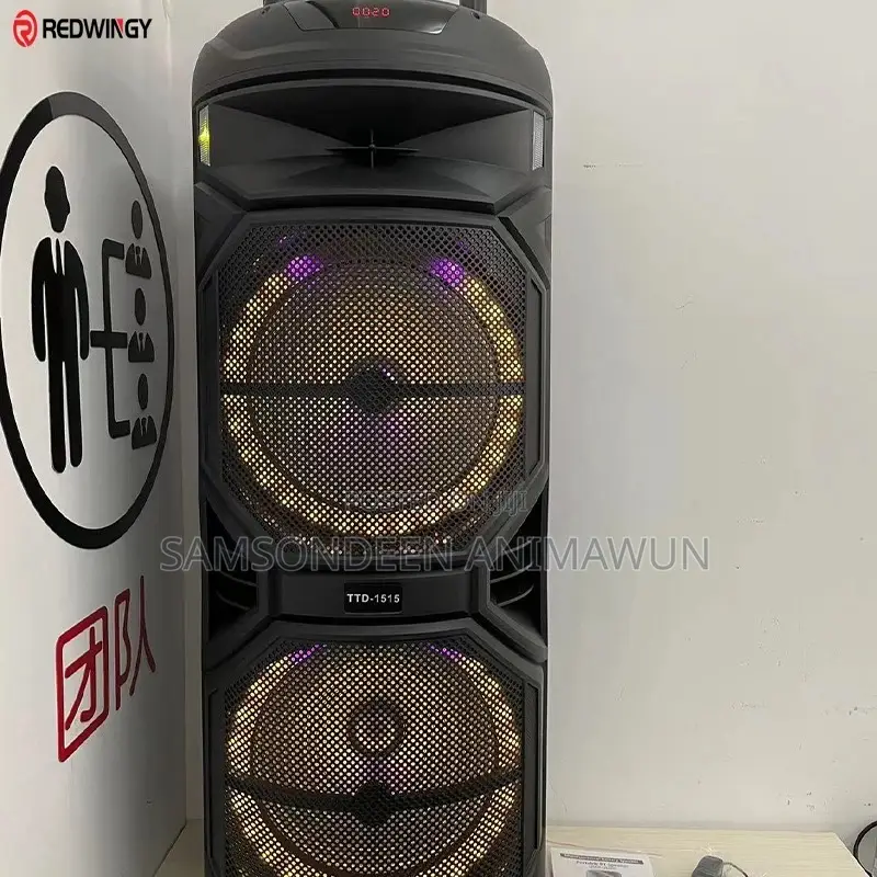 Dual 15inch Active Speaker With 2 Mic