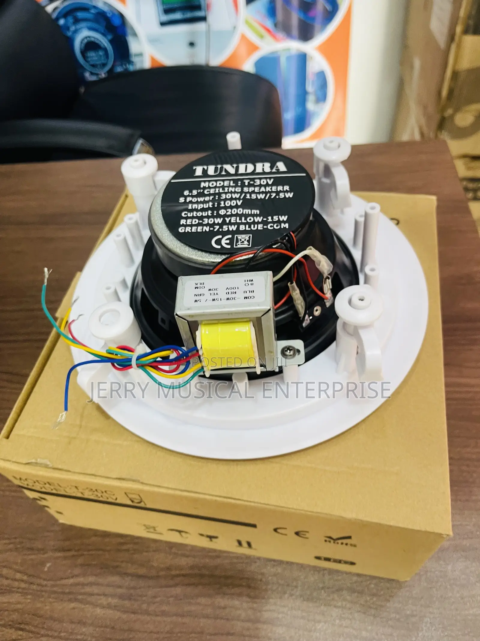 30watts Tundra Ceiling Speakers