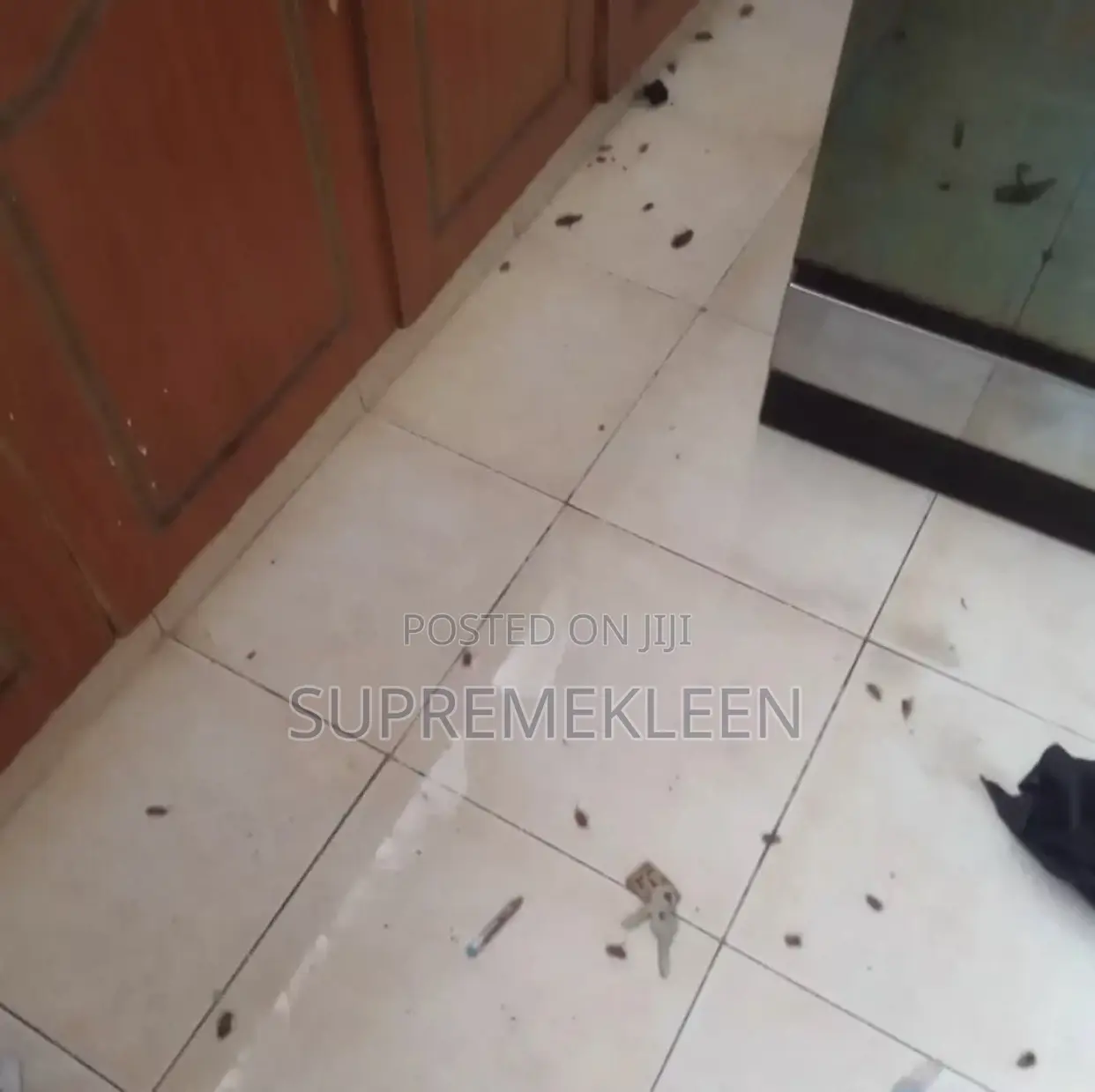Pests Control Expert, We Eradicate Pest Instantly