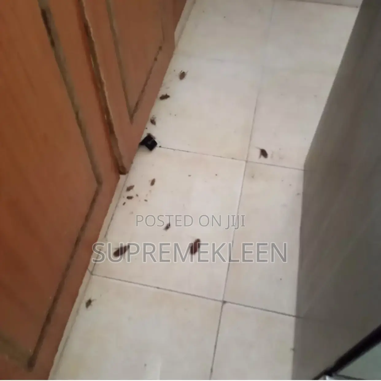 Pests Control Expert, We Eradicate Pest Instantly