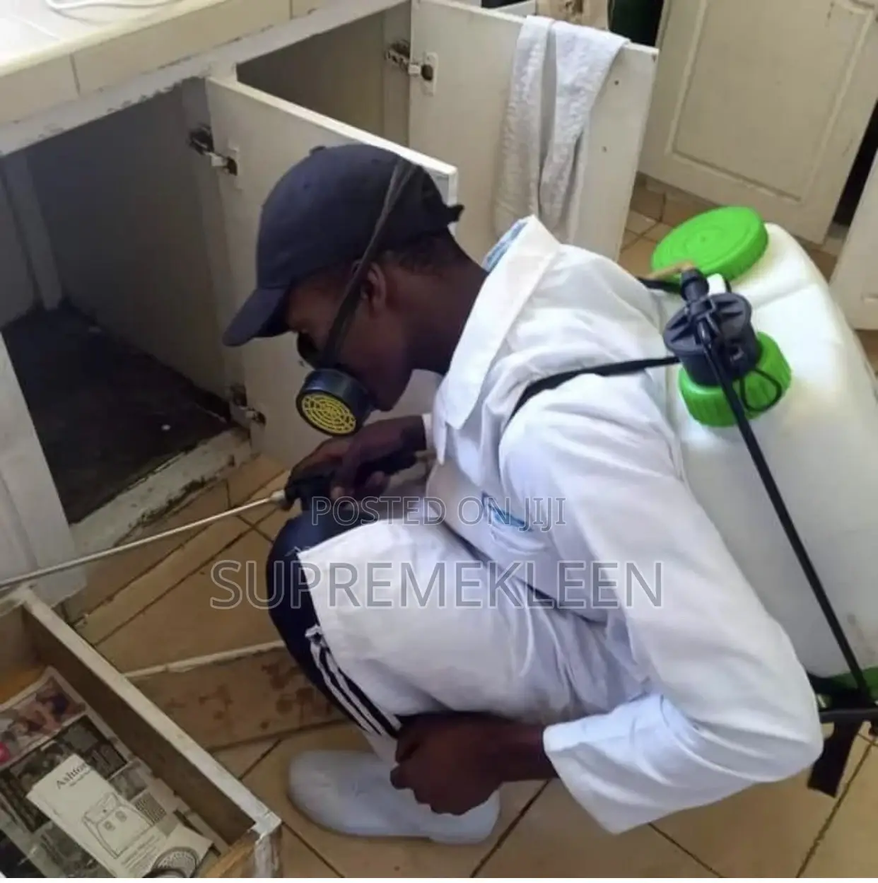 Pests Control Expert, We Eradicate Pest Instantly
