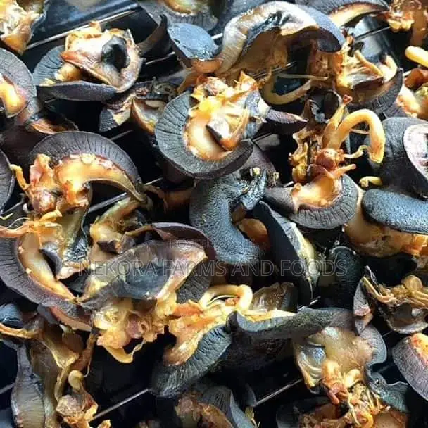 Oven Dried Snails - Large(50pieces)