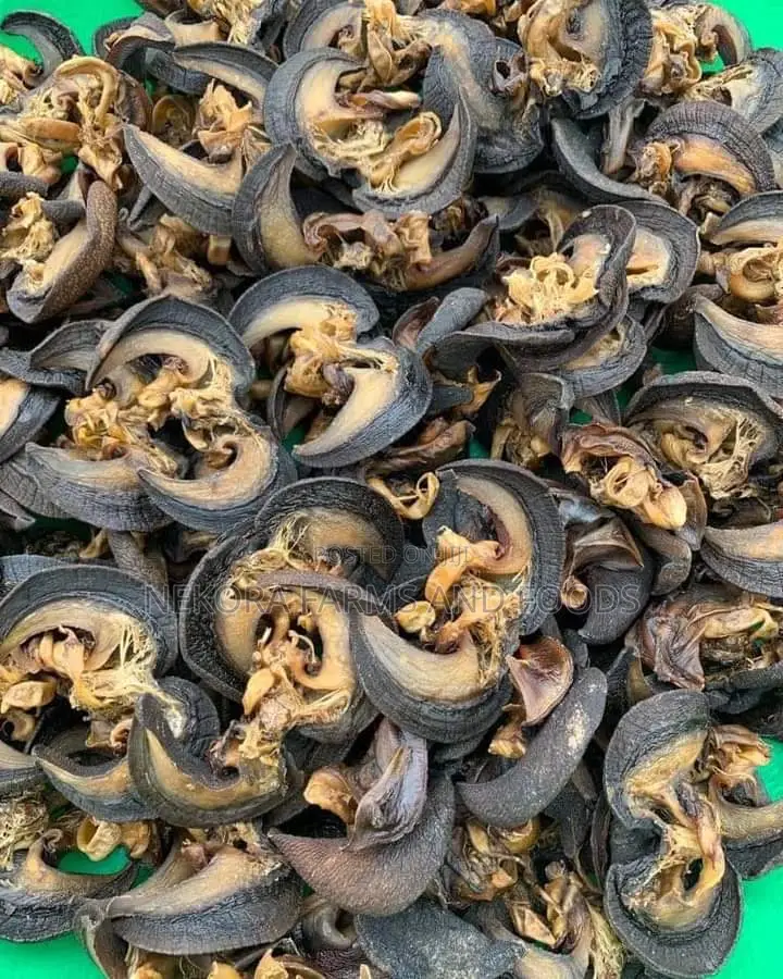 Oven Dried Snails - Large(50pieces)