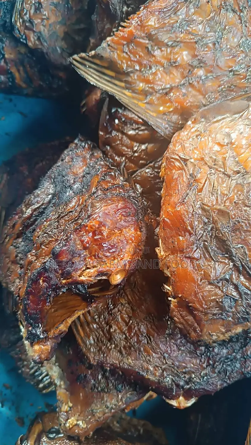 Bayelsa River Croaker Mangala Fish (1kg- Without Head)