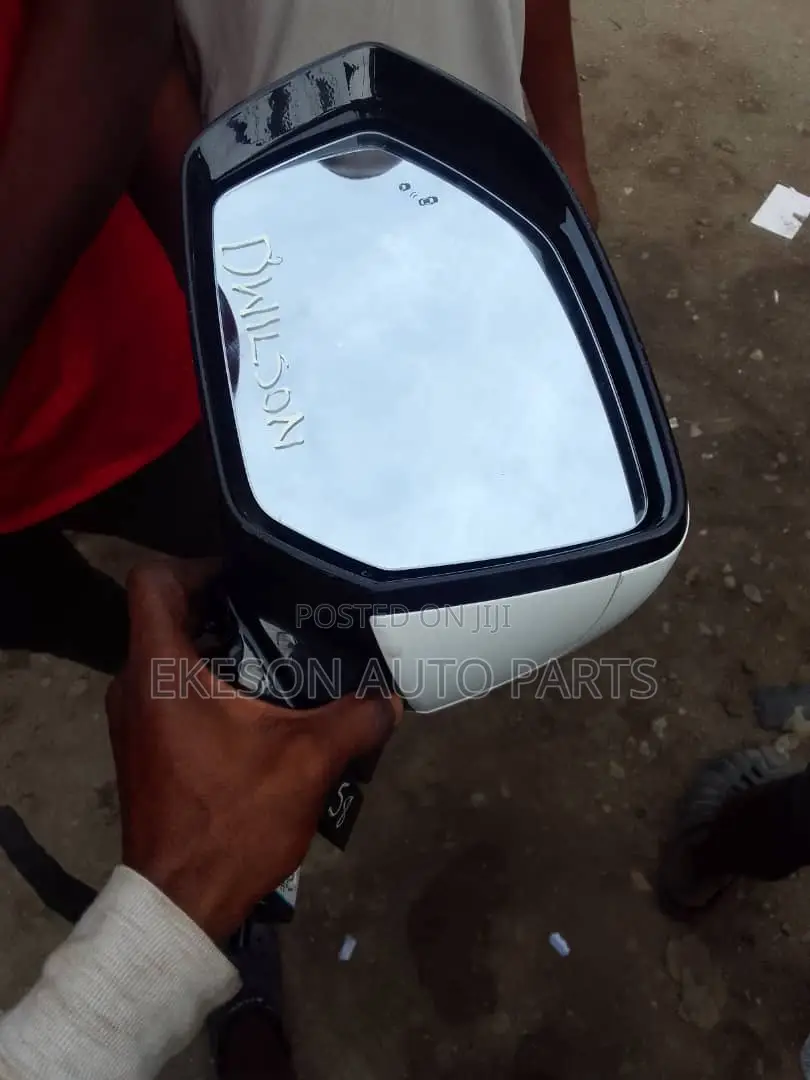 Side Mirror Hyundai Palisade