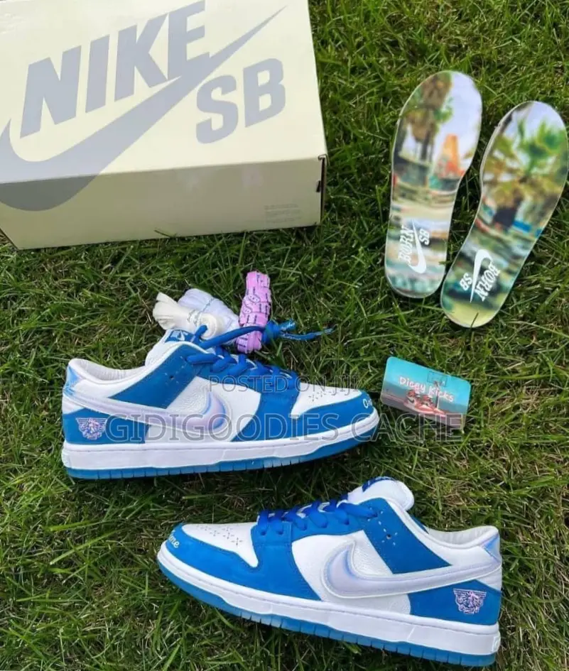 Nike SB Sneakers