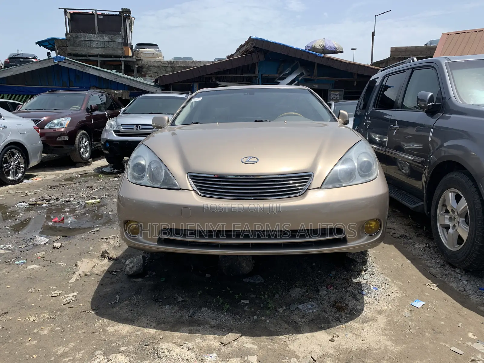 Lexus ES 330 2006 Gold