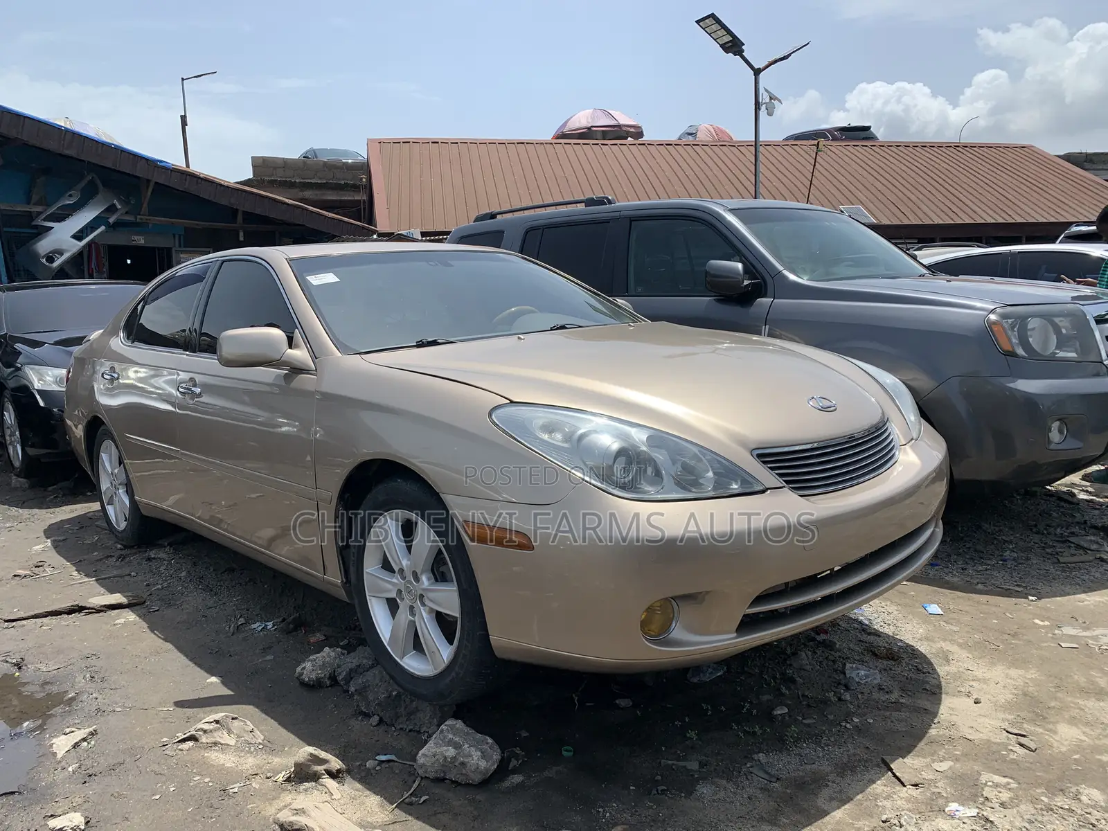 Lexus ES 330 2006 Gold