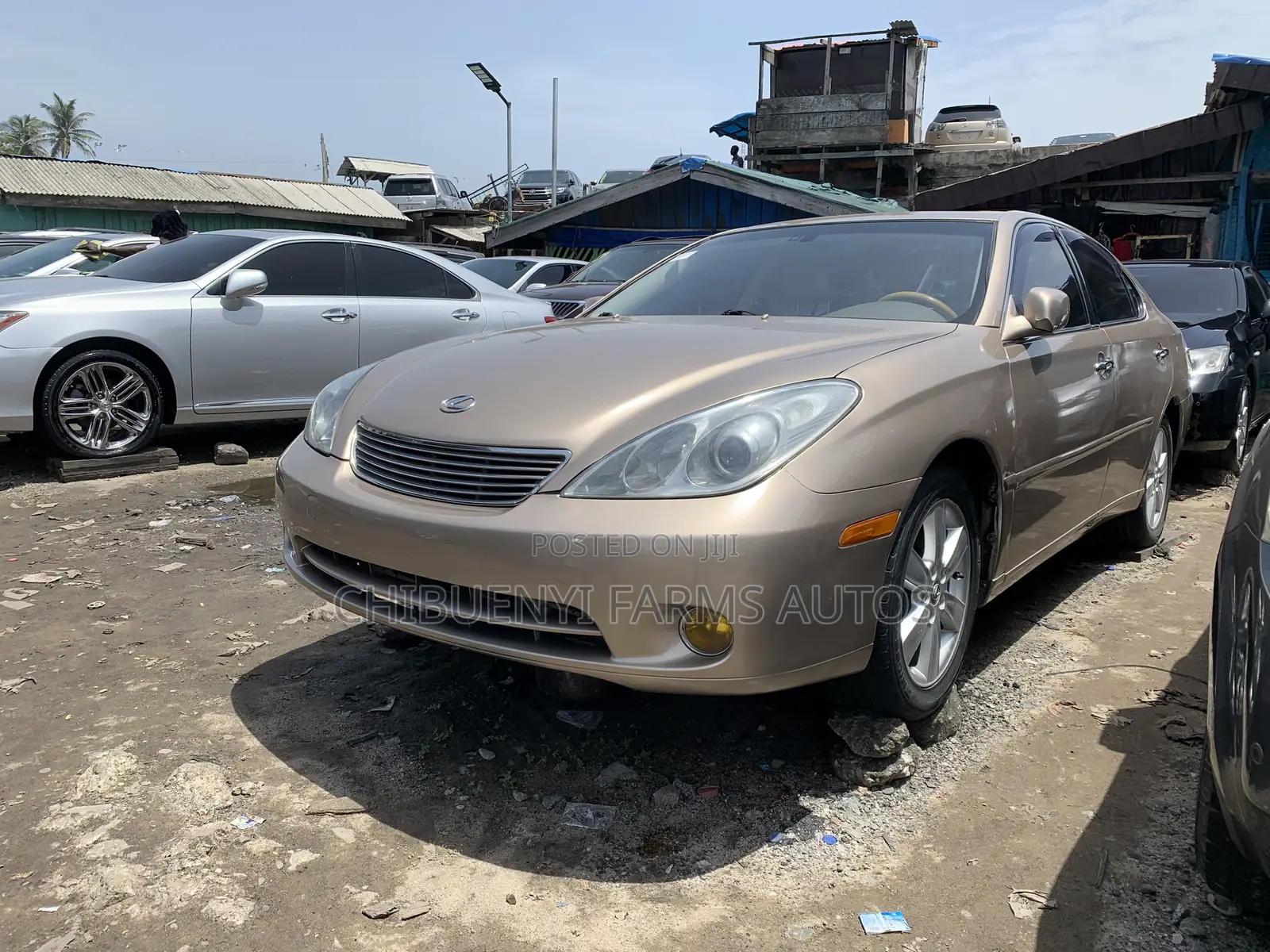Lexus ES 330 2006 Gold