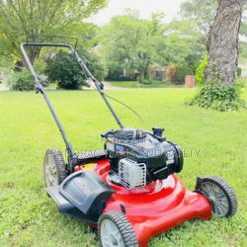 6hp Prince Garden Lawn Mower