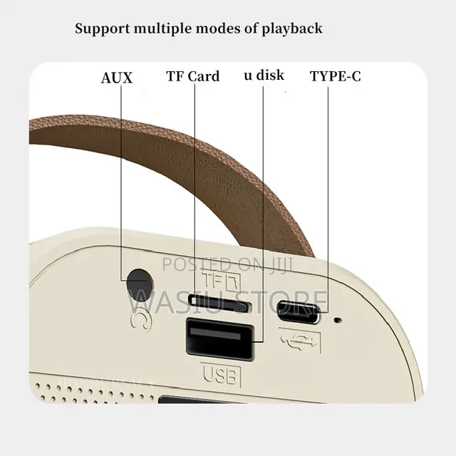 3 in 1 Wireless Karaoke Bluetooth Speaker