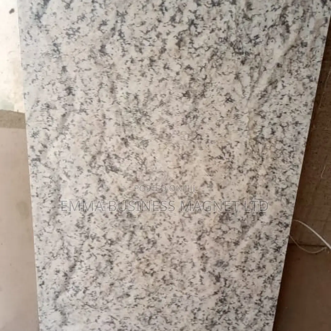 250X500 High Quality Nigeria Outside Wall Tiles