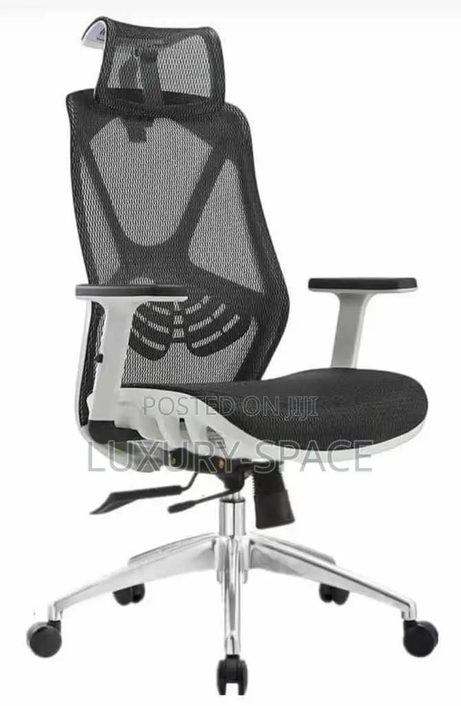 Executive Office Mesh Chair With Headrest