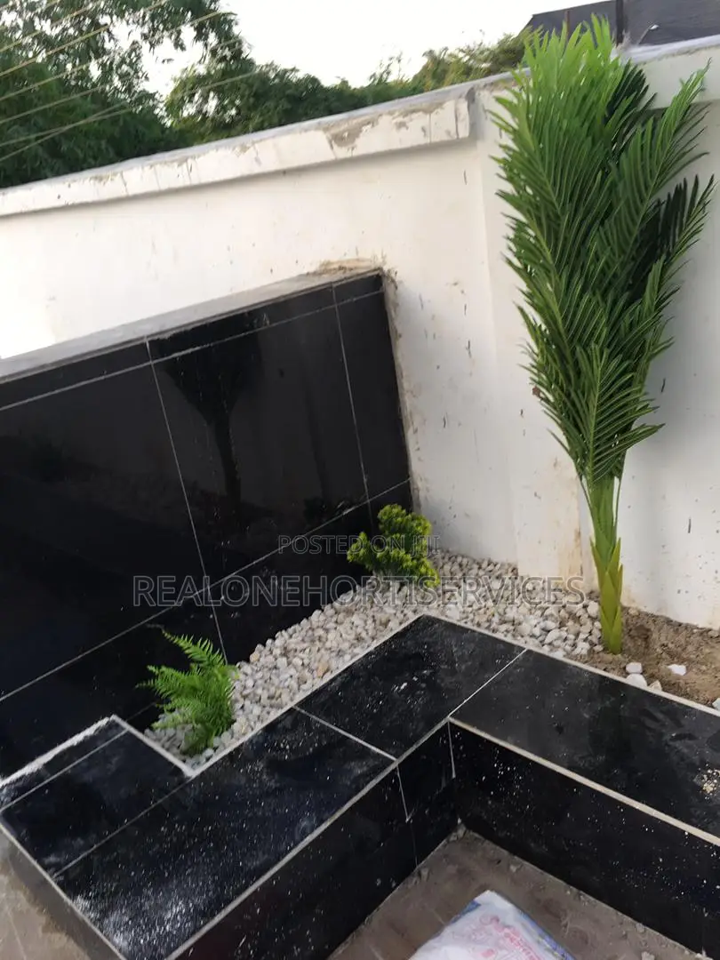 Grass For Lawn, Border Installation And Artificial Plant