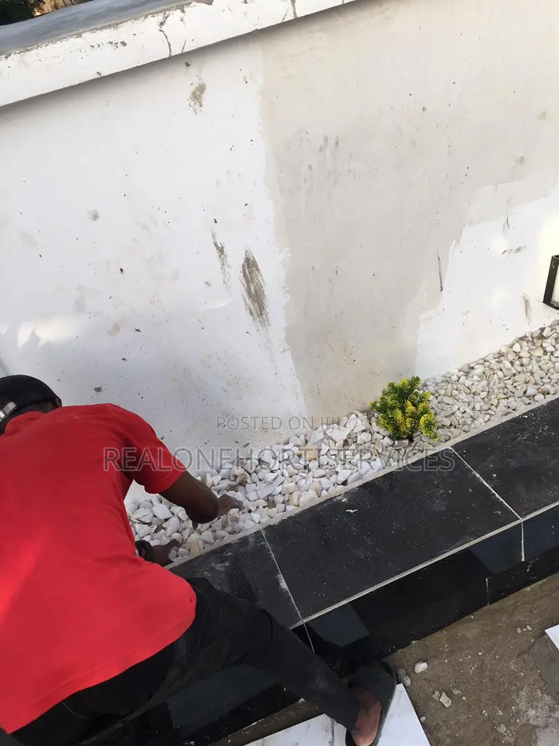 Grass For Lawn, Border Installation And Artificial Plant