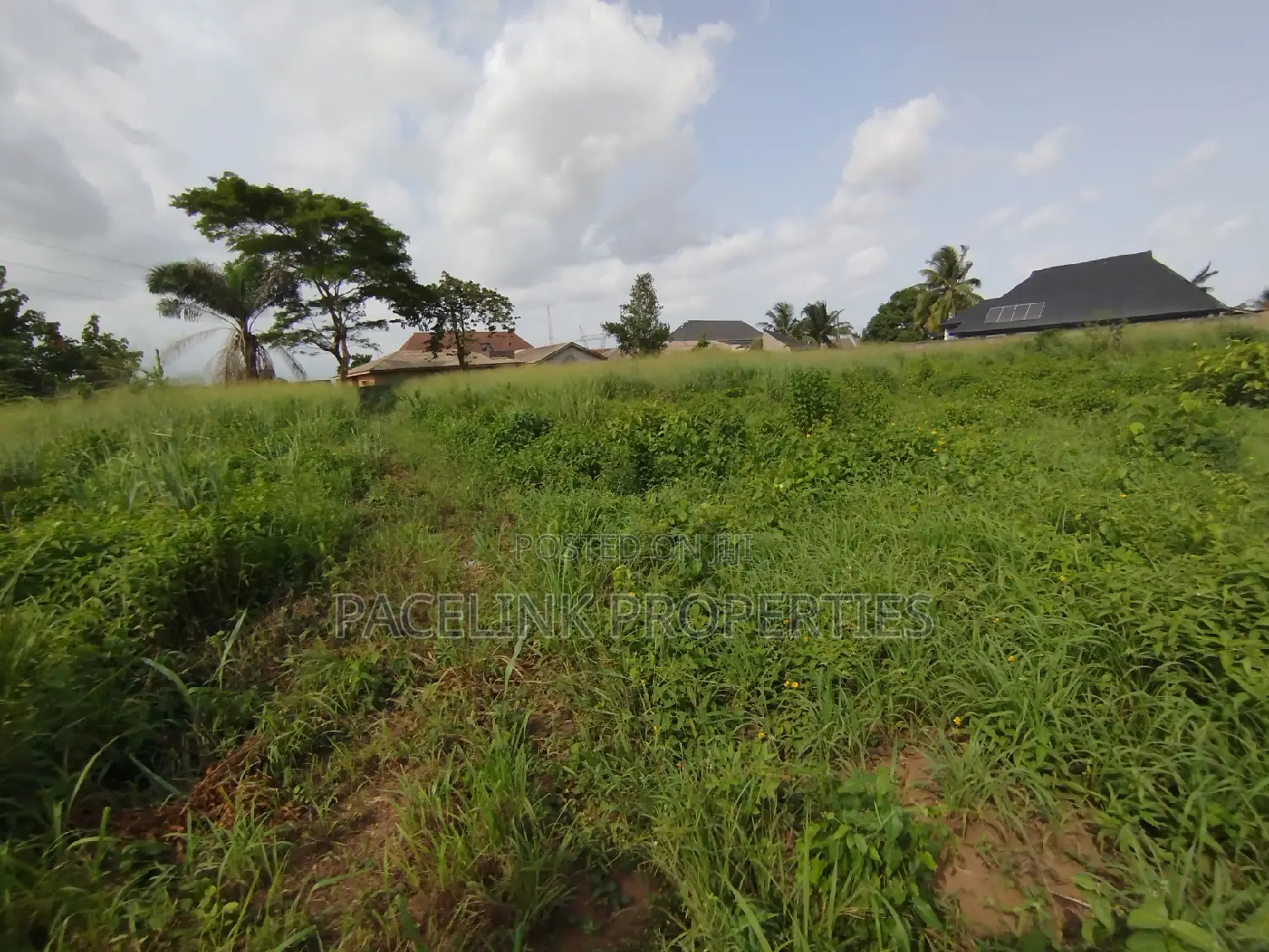 1 Acre of Land Along the Major Road