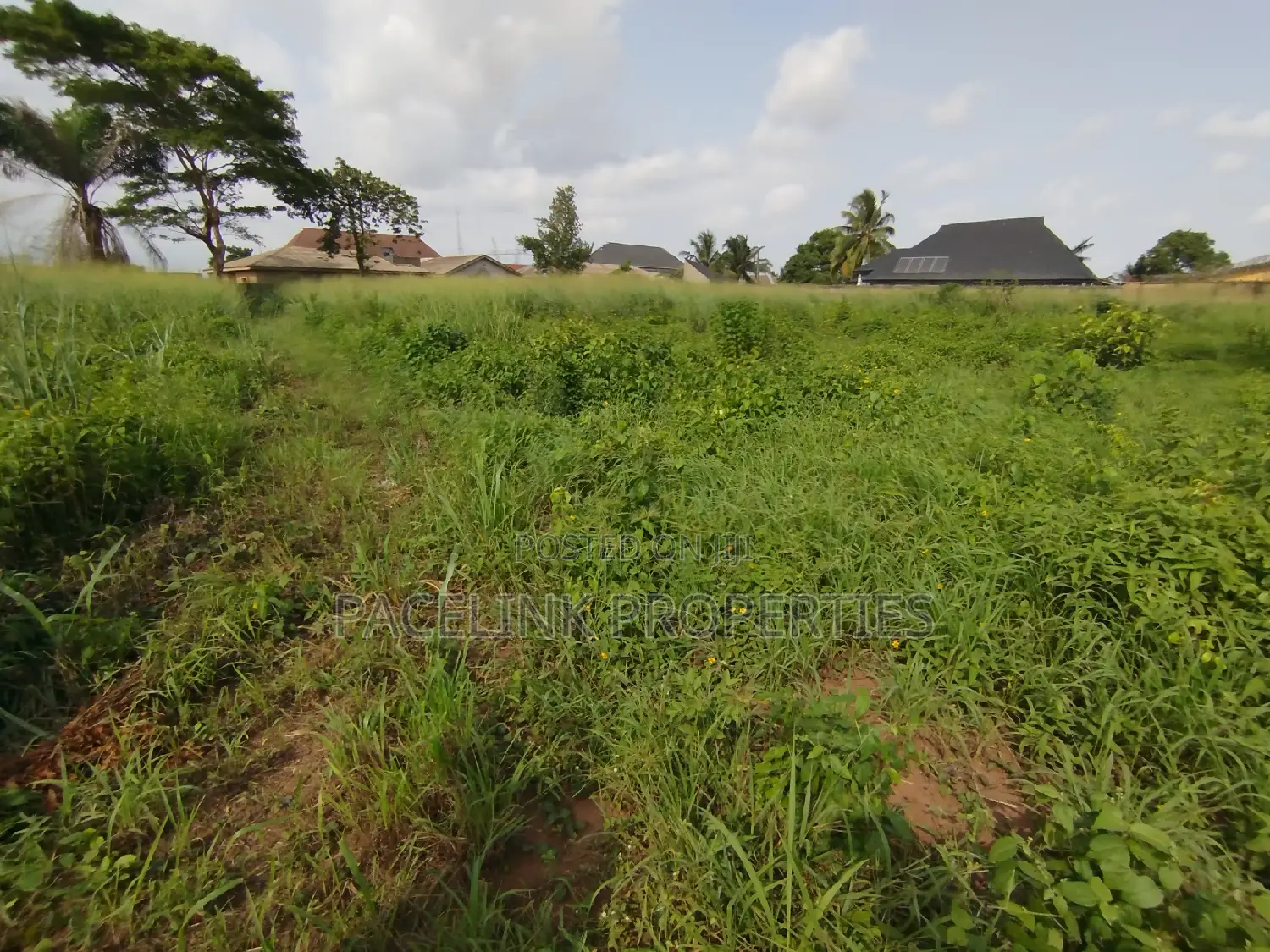 1 Acre of Land Along the Major Road