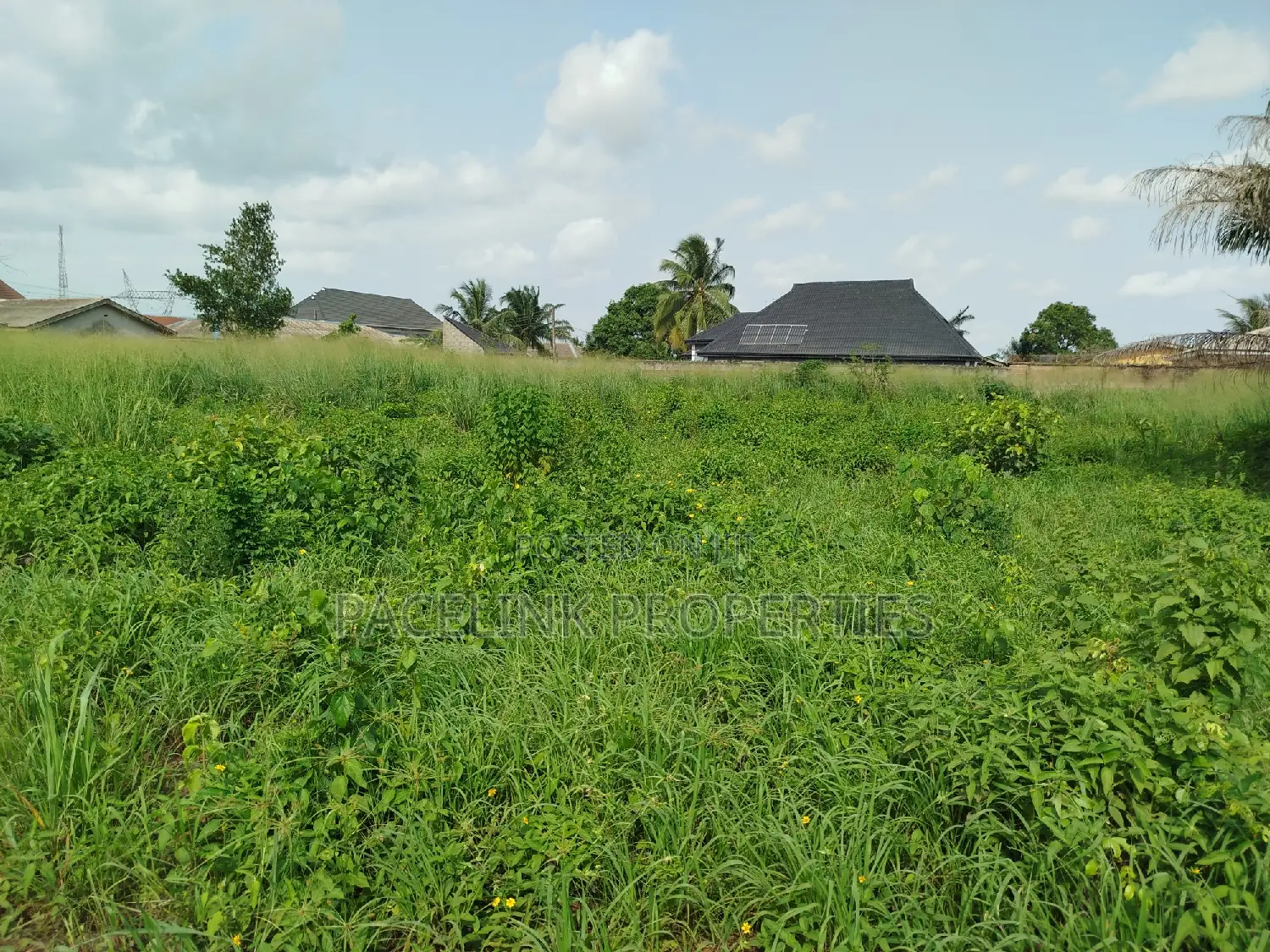 1 Acre of Land Along the Major Road