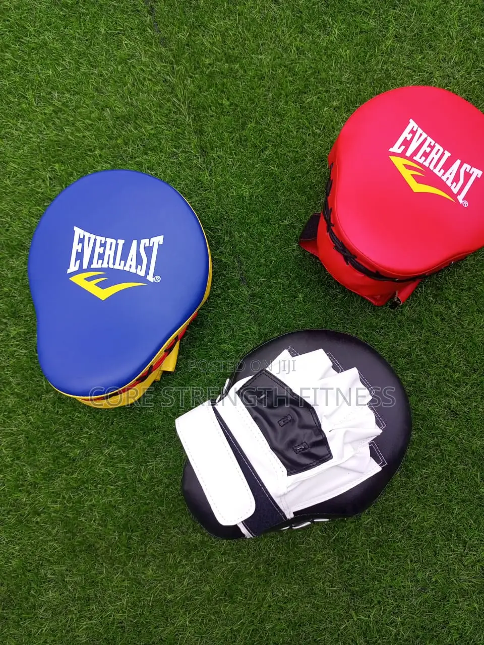 Everlast Boxing Pads , Boxing Mitt's or Coach Pads