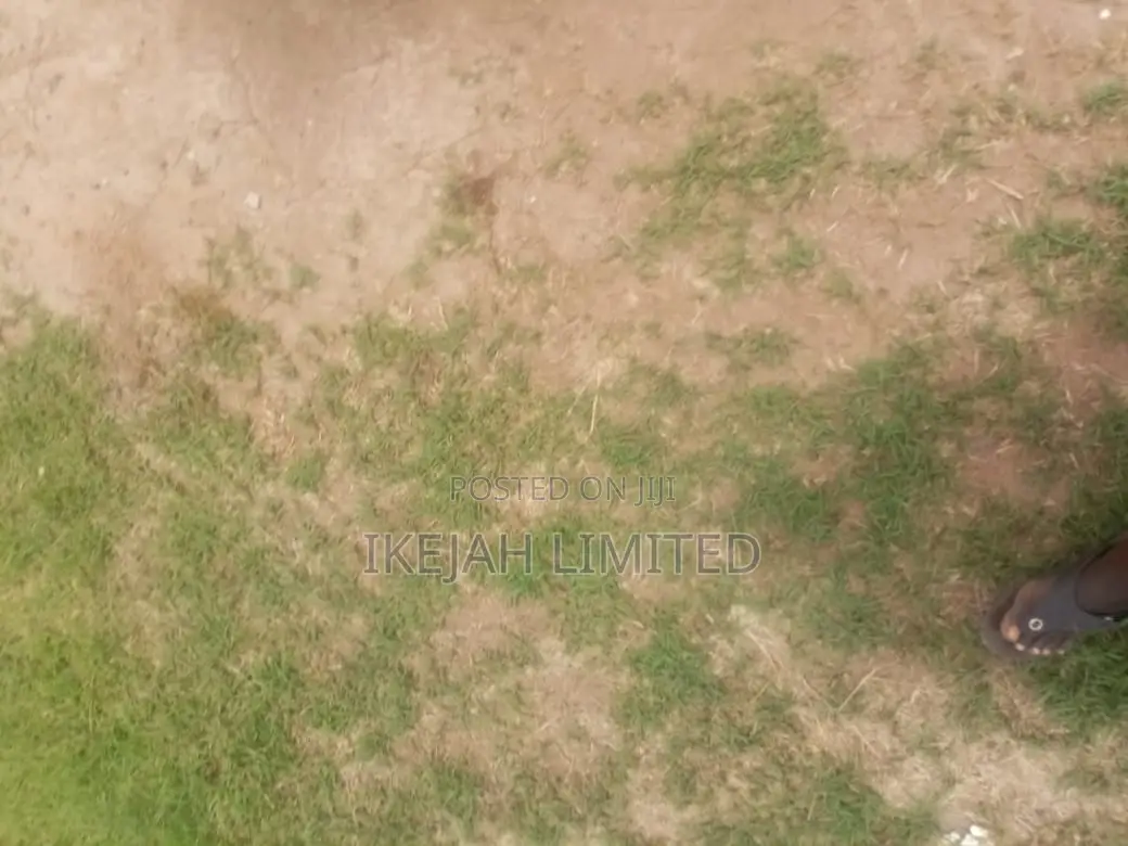 Affordable 1 Plot of Land for Sale in Agbowa, Ikorodu