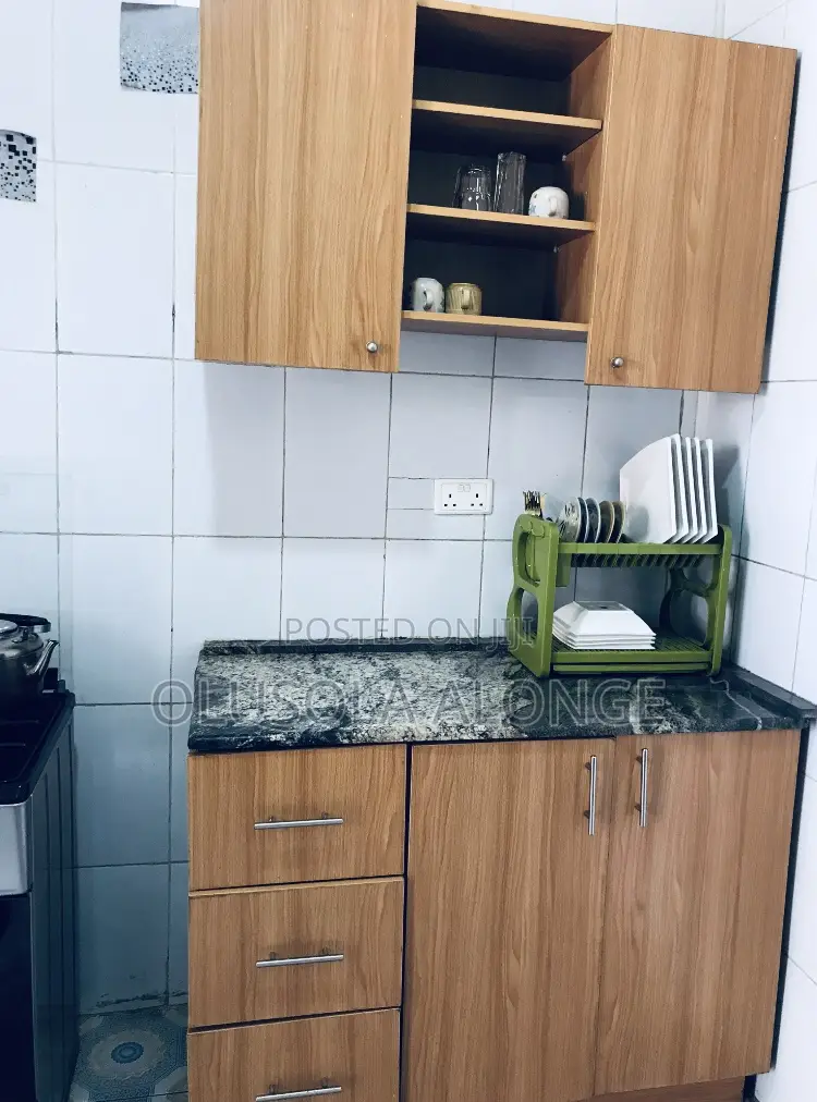 Executively Furnished 2bedroom Apartment+ Starlink Internet