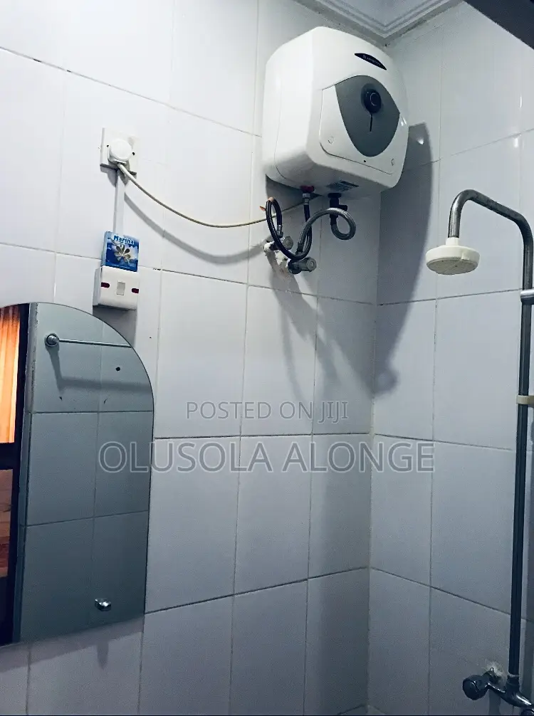 Executively Furnished 2bedroom Apartment+ Starlink Internet