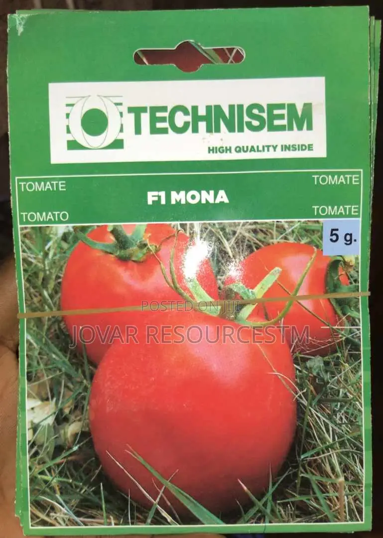 Best Tomato Seeds