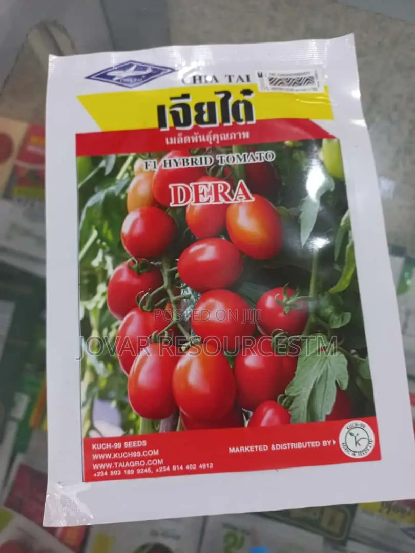 Best Tomato Seeds