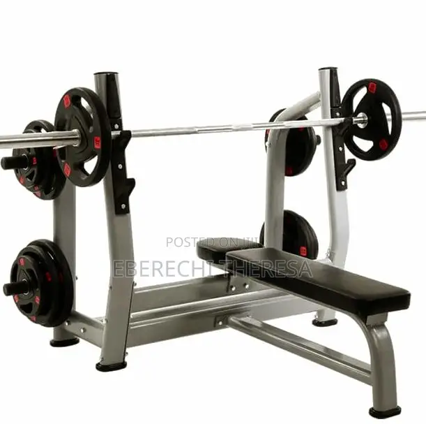 Olympic Standard Weight Lifting Bench