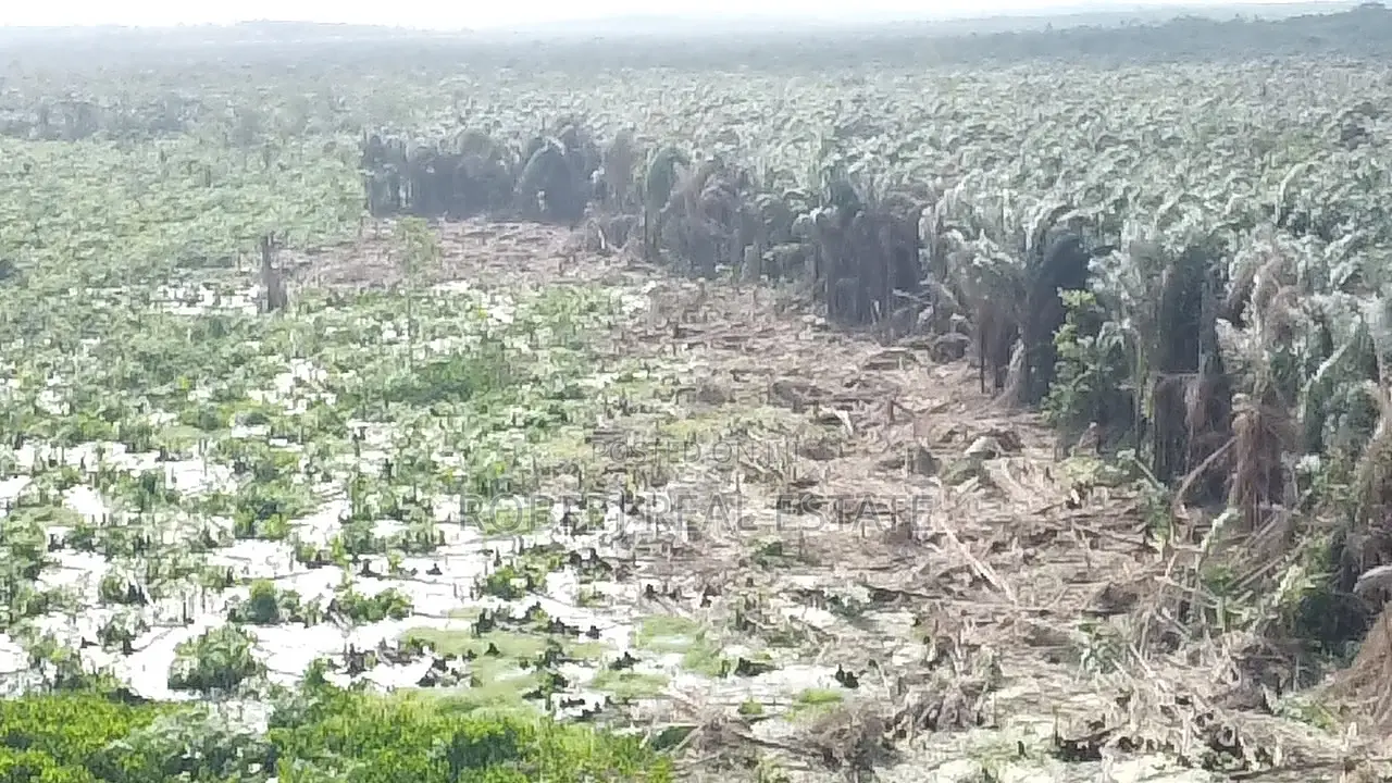 50 Acres Land Awaits