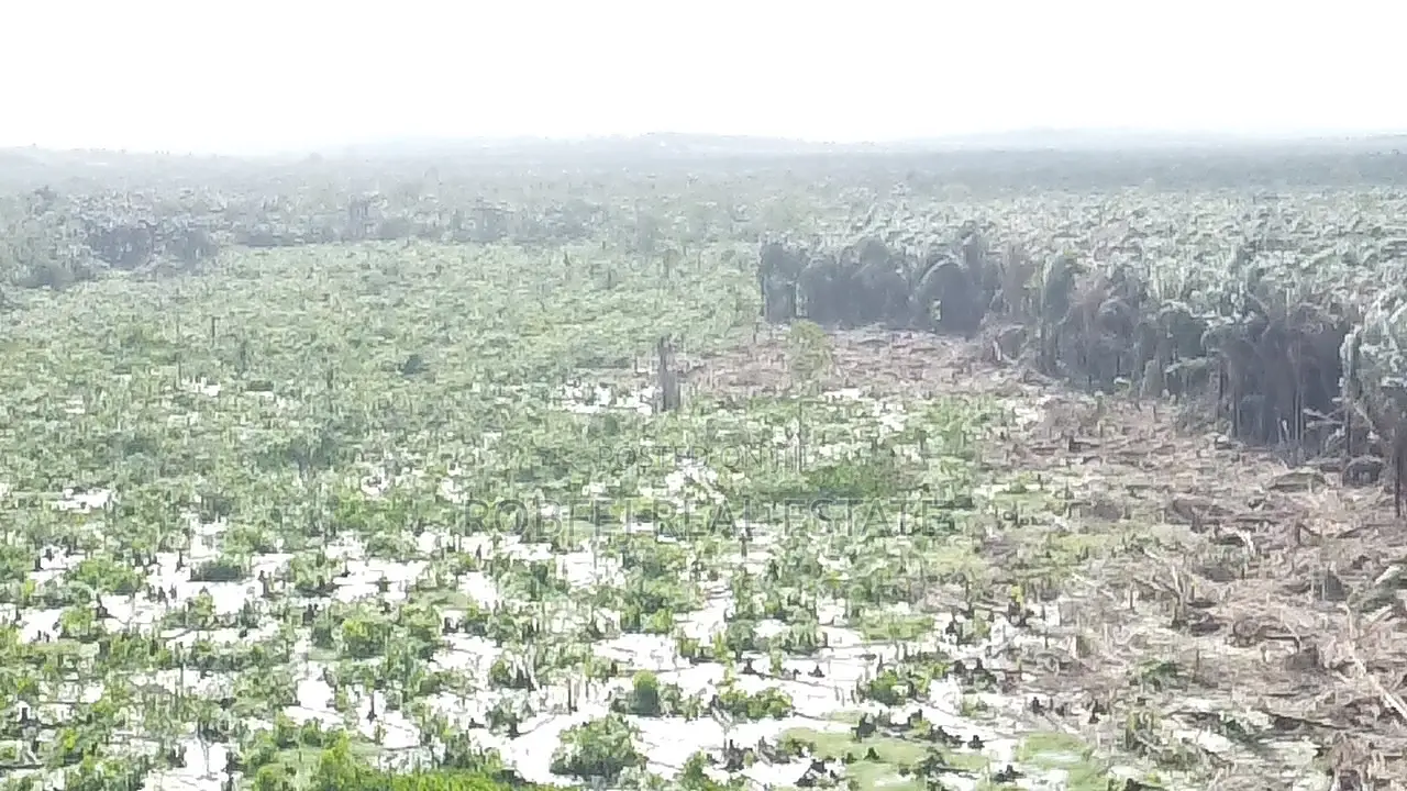50 Acres Land Awaits