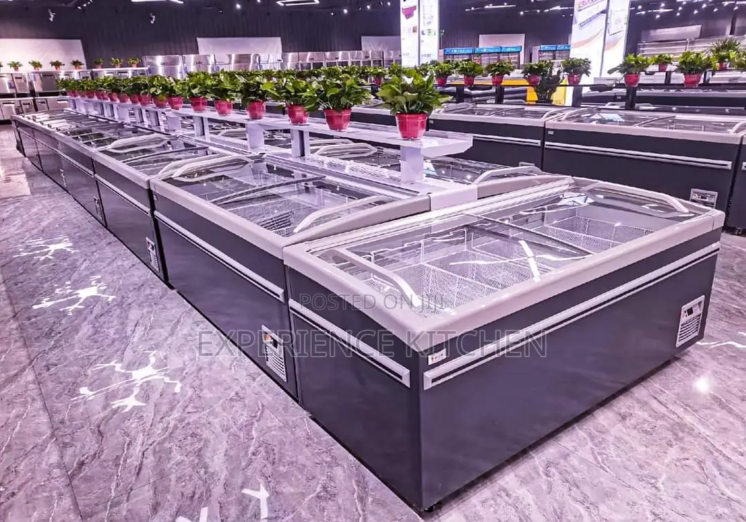 Iceland Display Chiller/Freezer