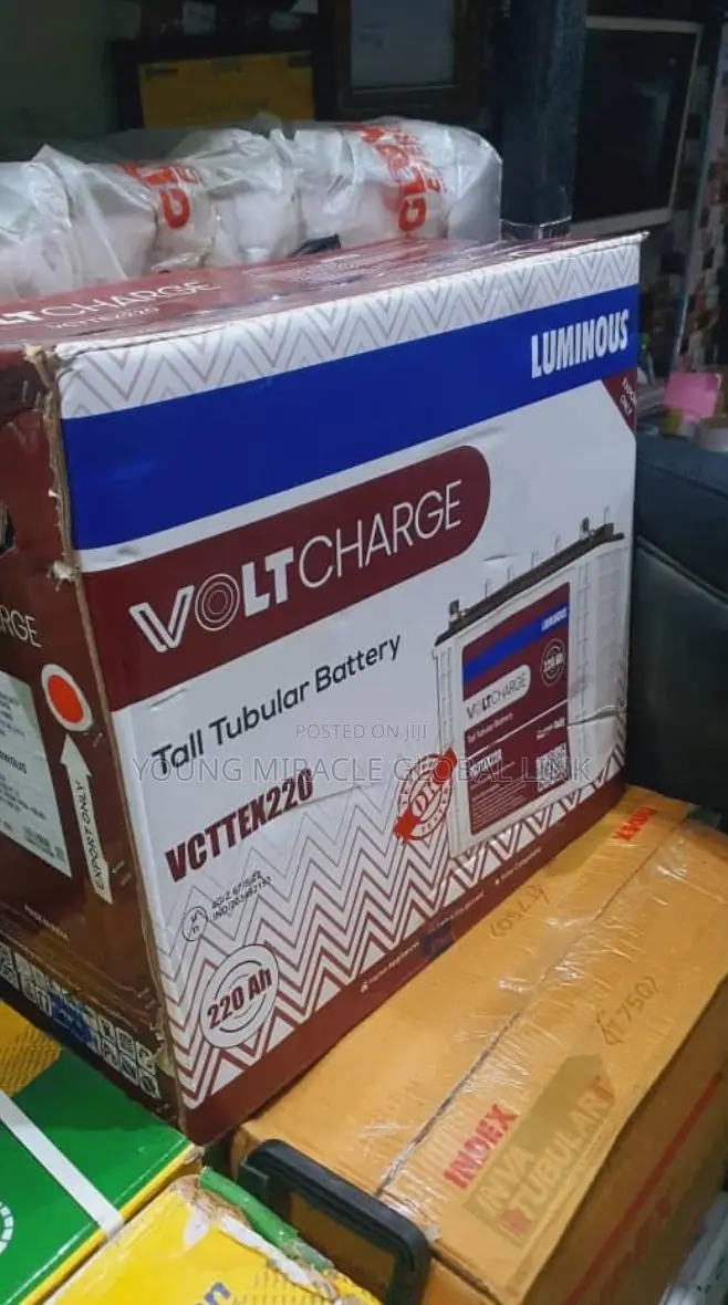 Luminous Volt Charger 220ah/12v