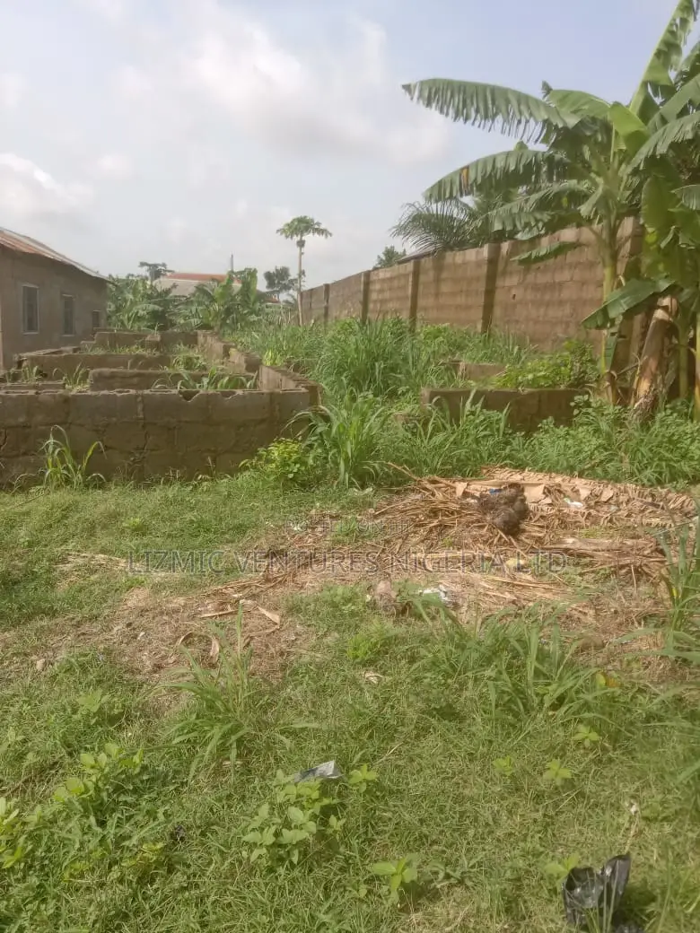 2bdrm Block of Flats in Agric Rd, Igando / Ikotun/Igando for sale
