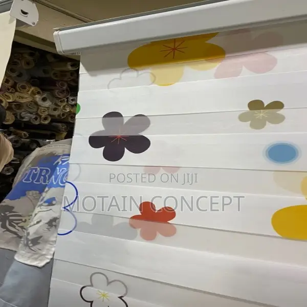 Day and Night Window Blinds