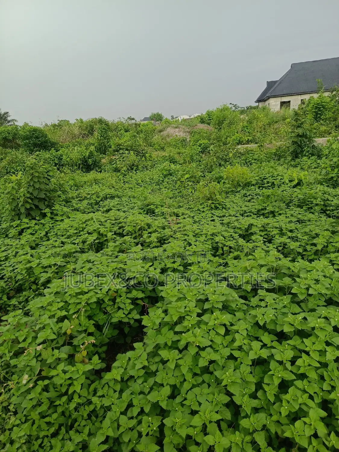 Quarter Plot at Ajasa Command for Sale