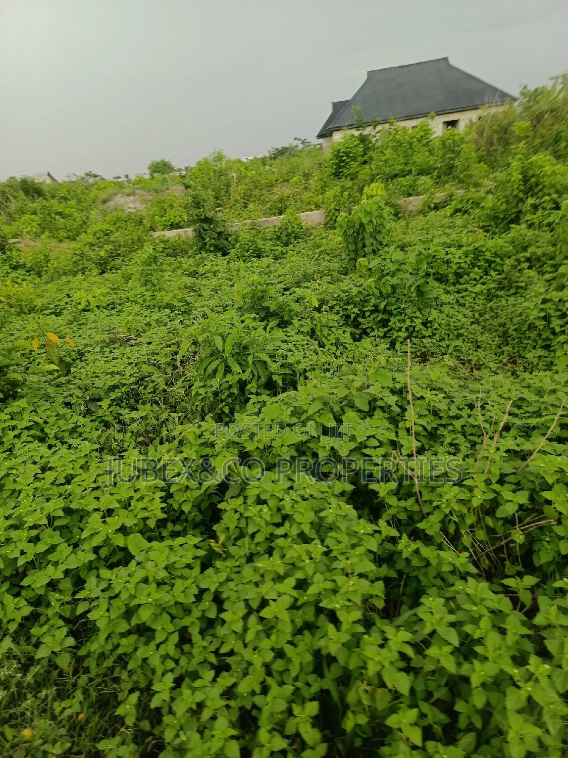 Quarter Plot at Ajasa Command for Sale