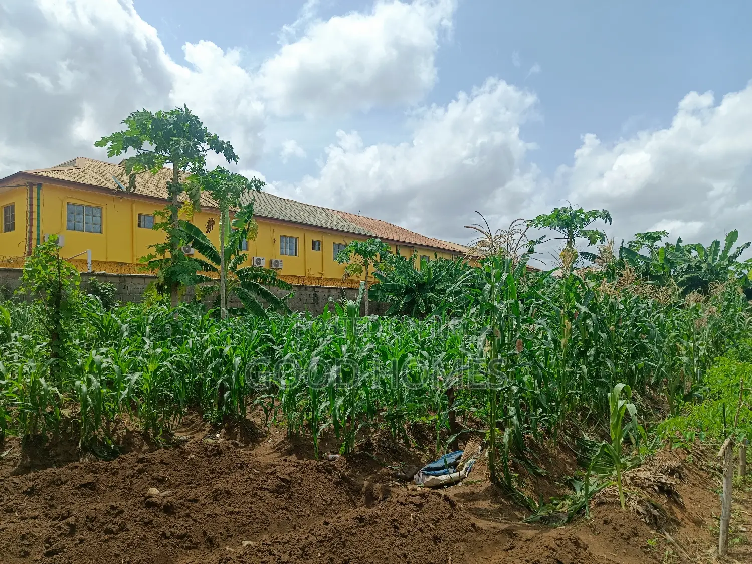 8 and Half Plot of Land Facing Express for Sale
