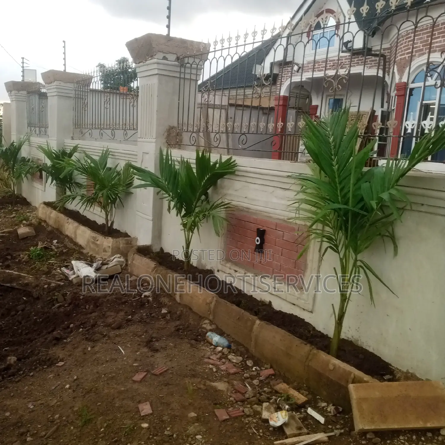 Best Flower Plants for Home, School, Hotel Beautification