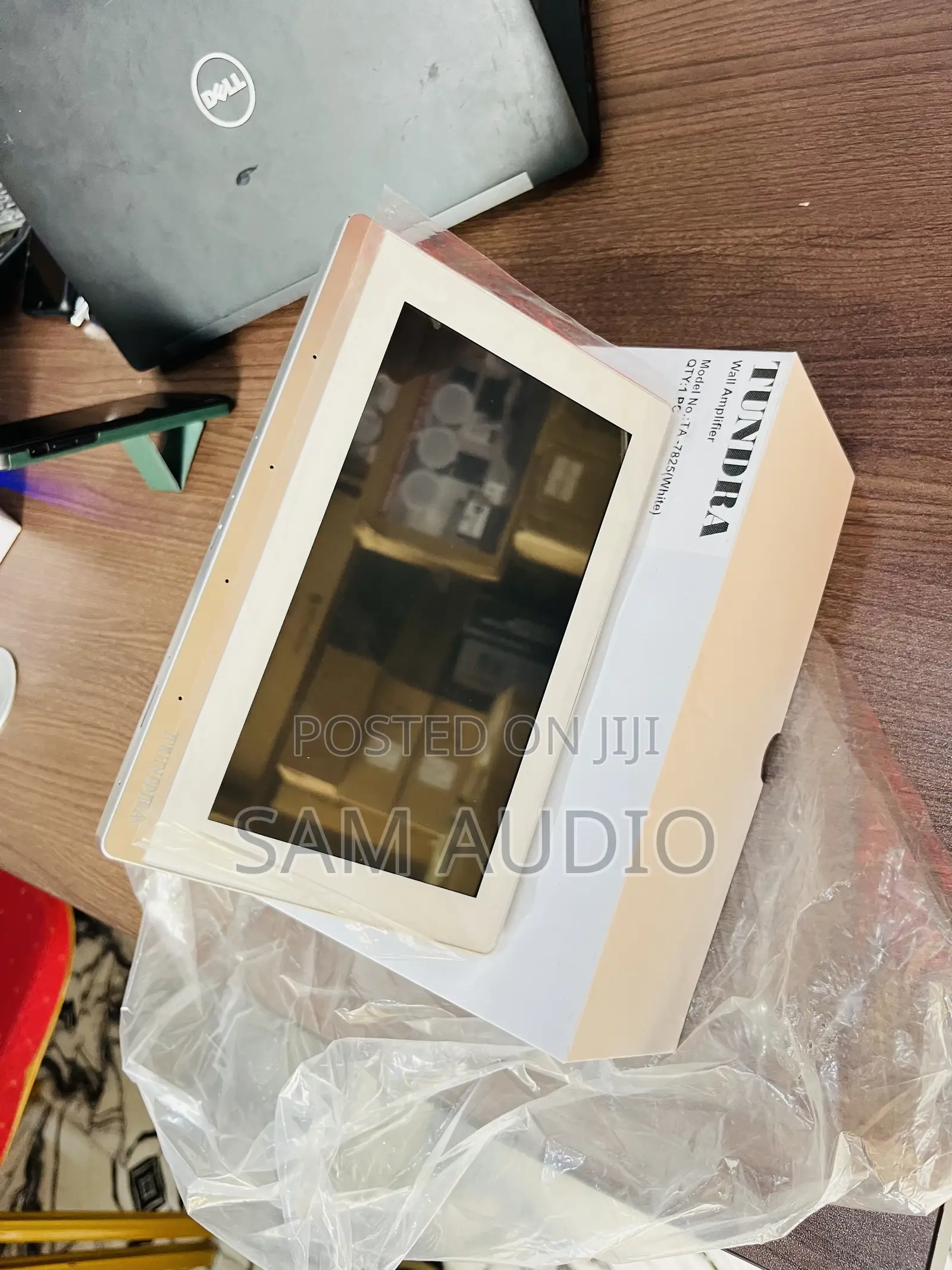 Ceiling Speaker Inwall (Network Amplifier)