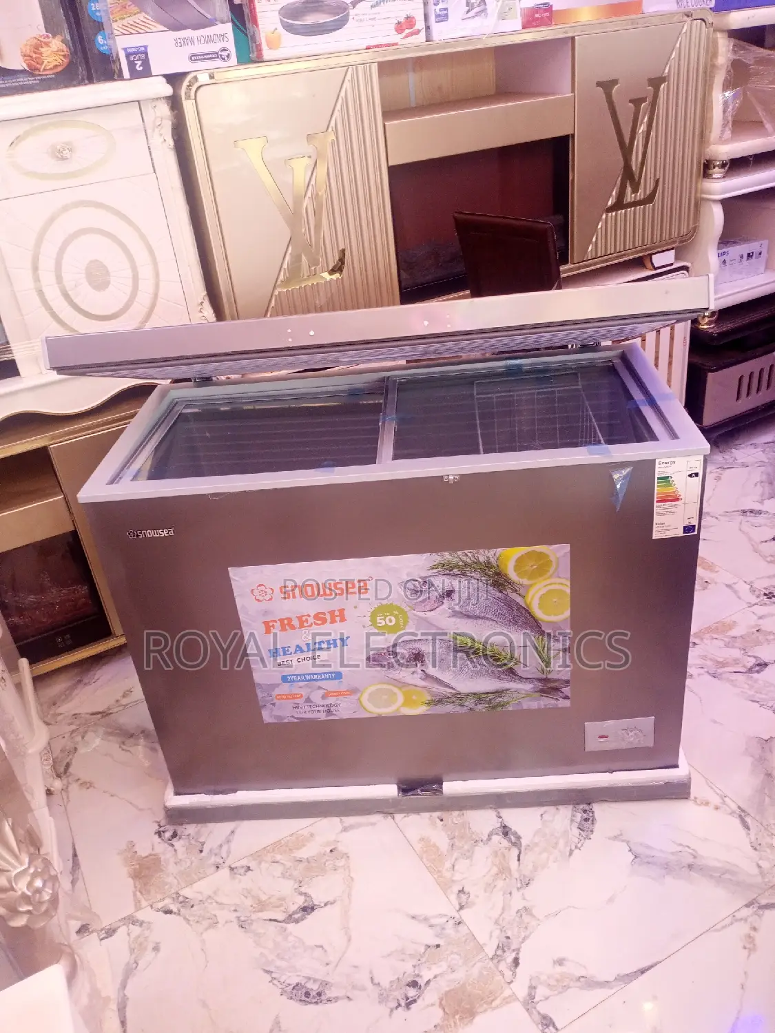 Snowsea 250 Liters Chest Freezer | BD-370