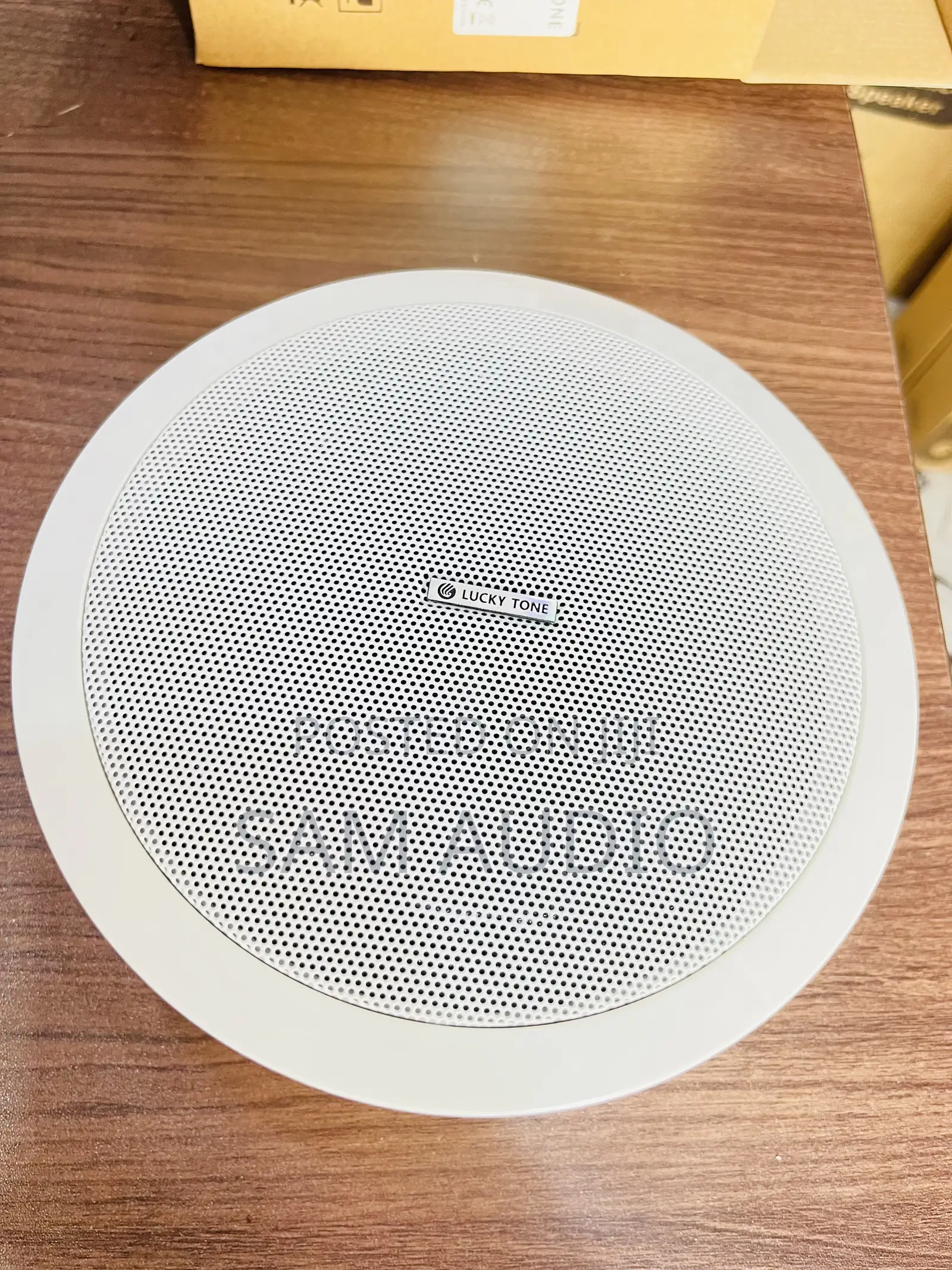 30watts Lucky Tone Ceiling Speaker