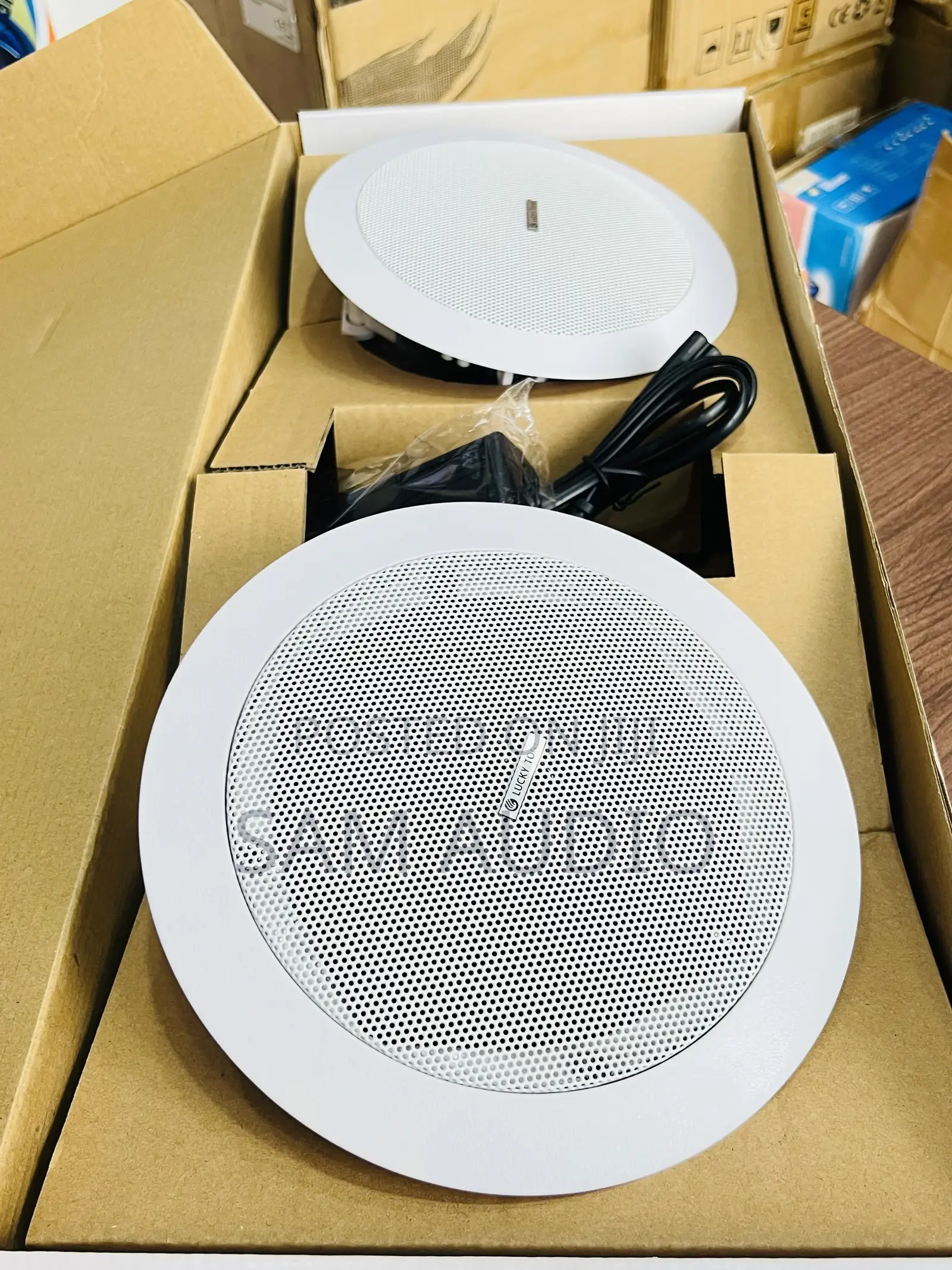 Two in One Bluetooth Ceiling Speaker