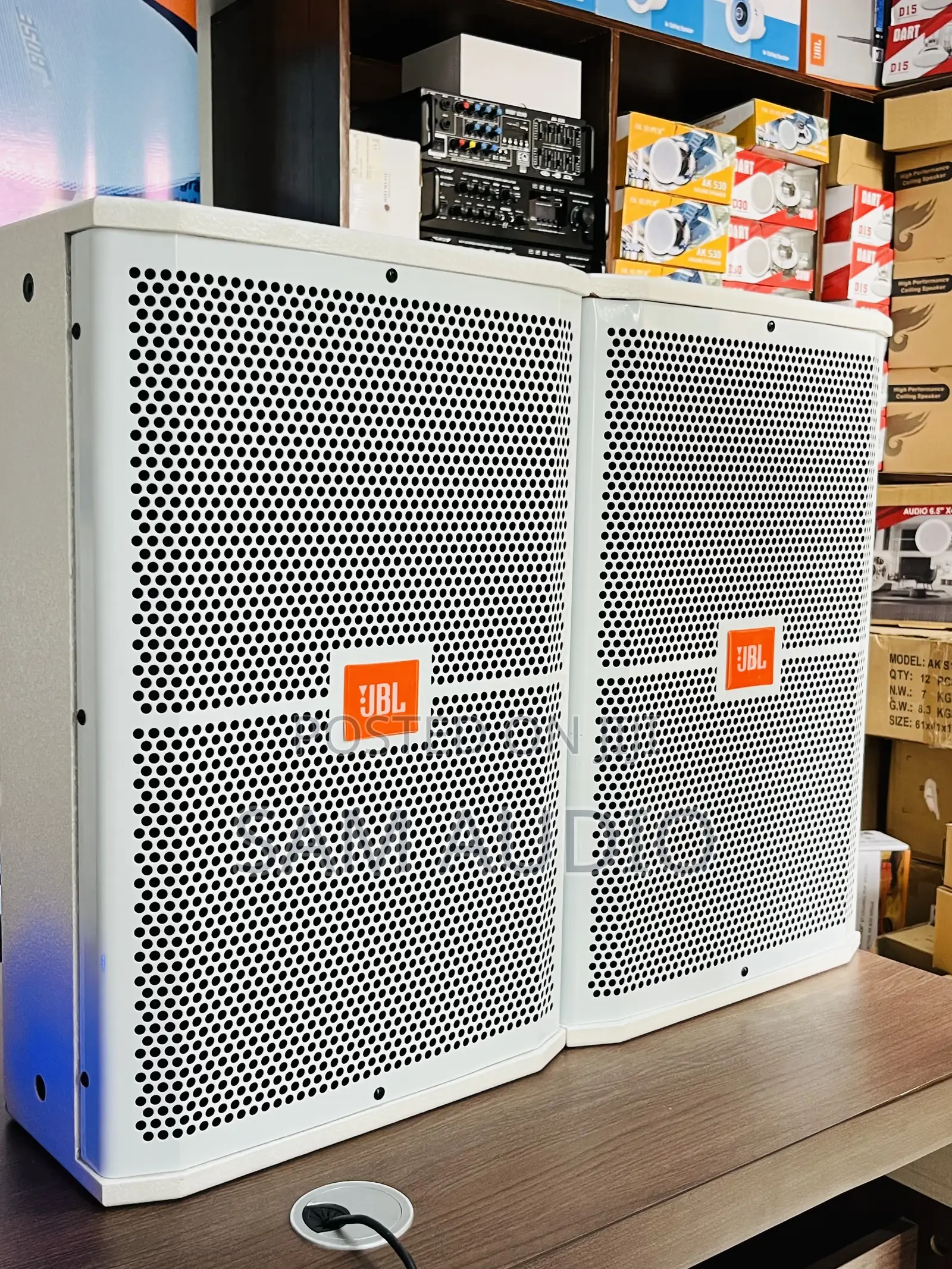 JBL 12inch Monitor