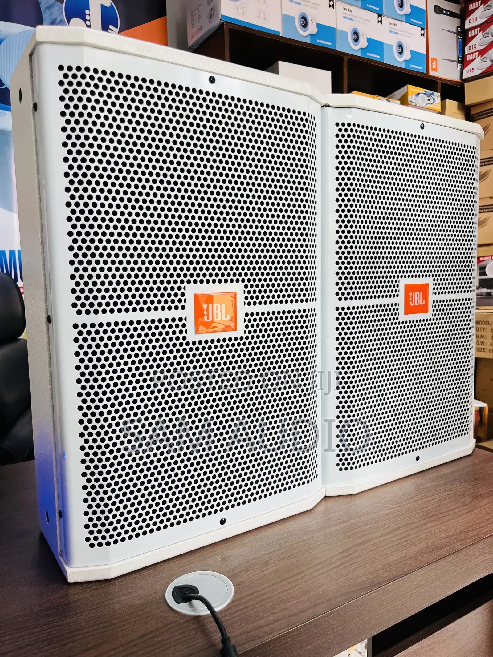 JBL 12inch Monitor