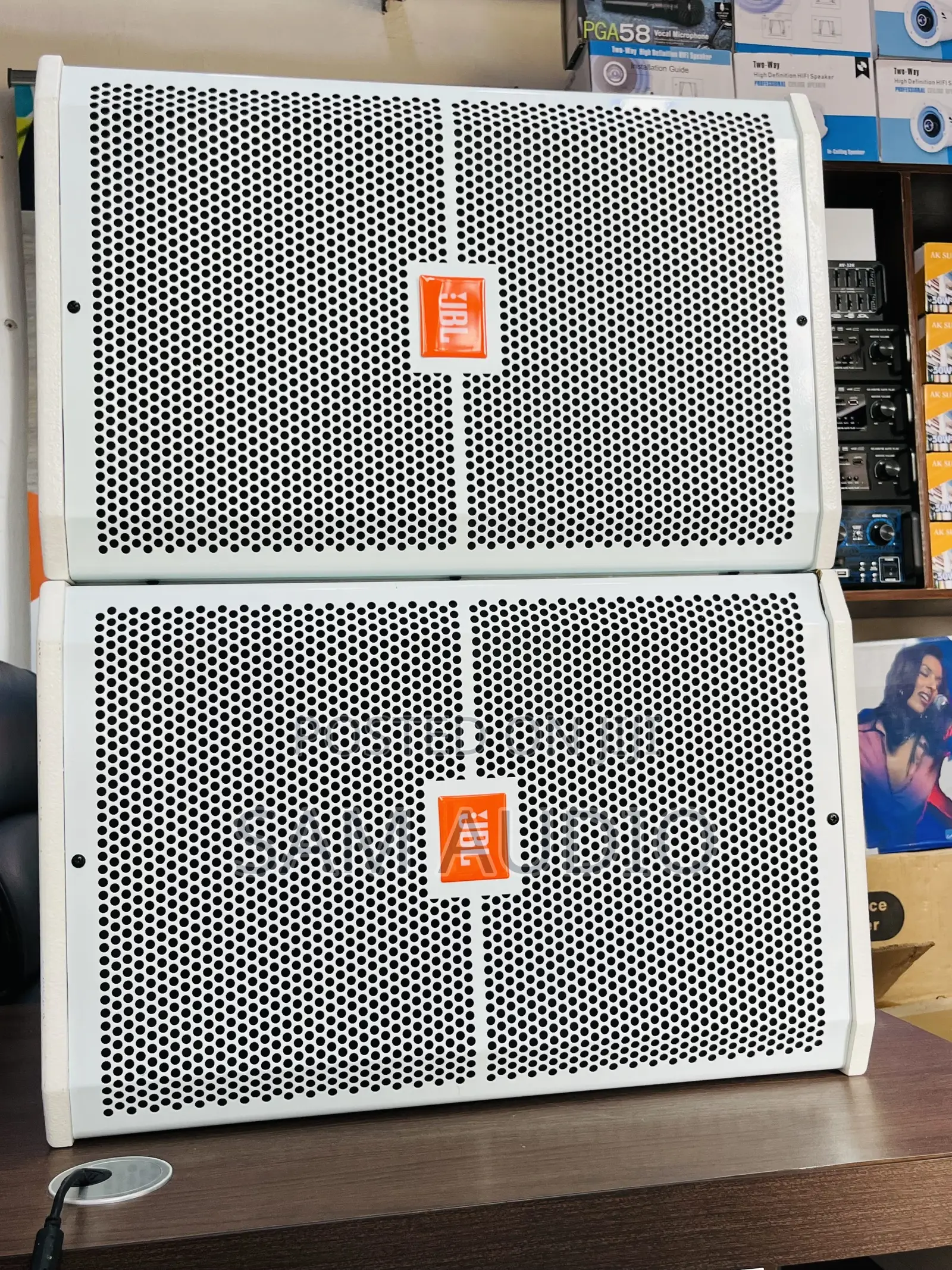 JBL 12inch Monitor