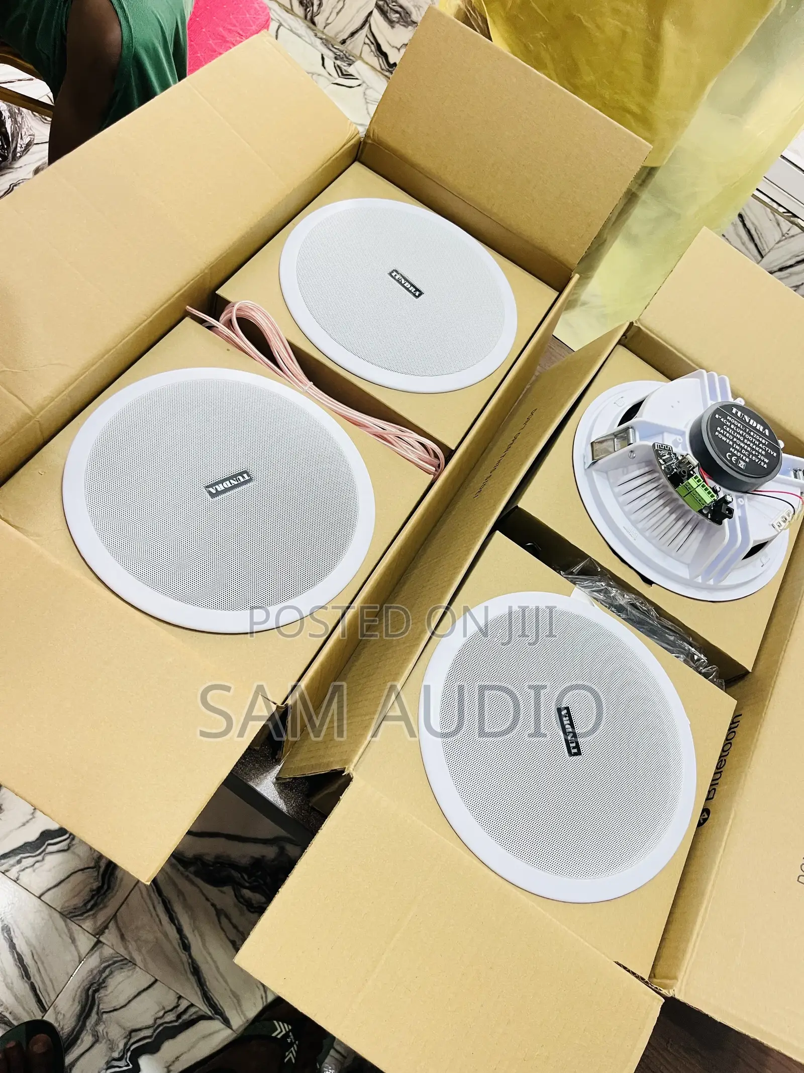 Tundra Four in One Bluetooth Ceiling Speaker